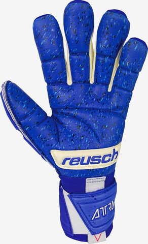 REUSCH Sporthandschuhe 'Attrakt Freegel Fusion Goaliator' in Blau