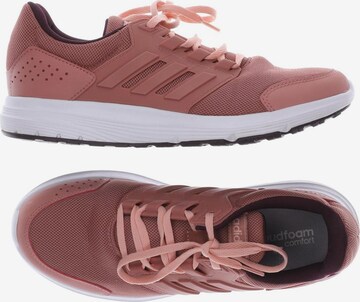 ADIDAS PERFORMANCE Sneakers & Trainers in 41 in Pink: front