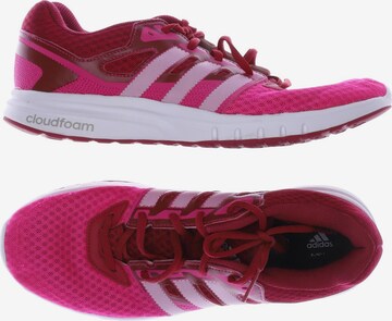 ADIDAS PERFORMANCE Sneakers & Trainers in 41 in Pink: front