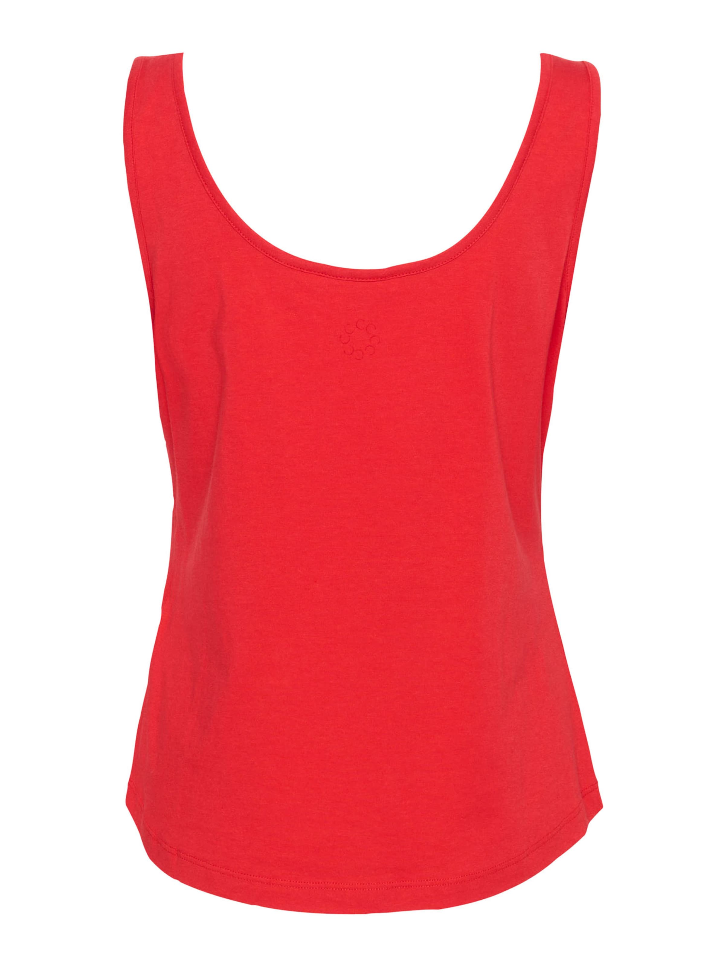 sarkans Cream Topiņš 'CR Naia'