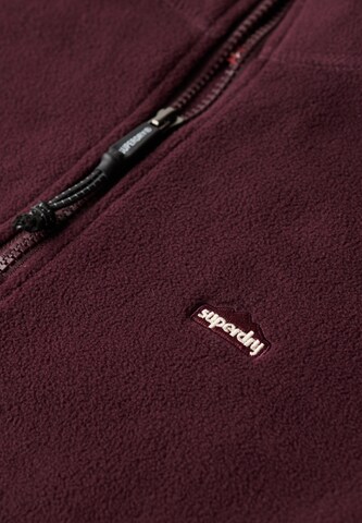 Superdry Trui in Lila