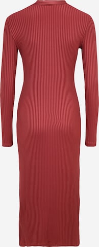 Dorothy Perkins Kleid in Rot