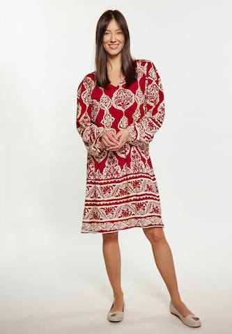Usha Kleid in Rot