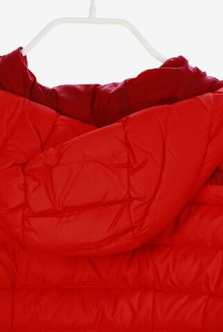 THE NORTH FACE Jacket & Coat in XS in Red
