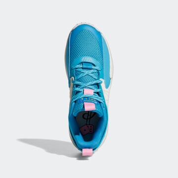 ADIDAS SPORTSWEAR Sneakers laag 'Extply 2.0 ' in Blauw