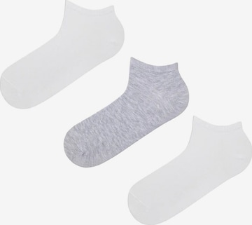 Chaussettes 'PENTI Herren Super 3-in-1 Liner' Penti en mélange de couleurs : devant