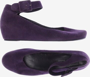 Paul Green High Heels & Pumps in 42,5 in Purple: front