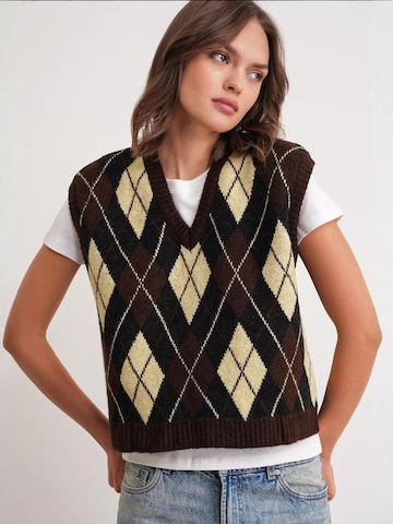 MixRay Sweater in Brown