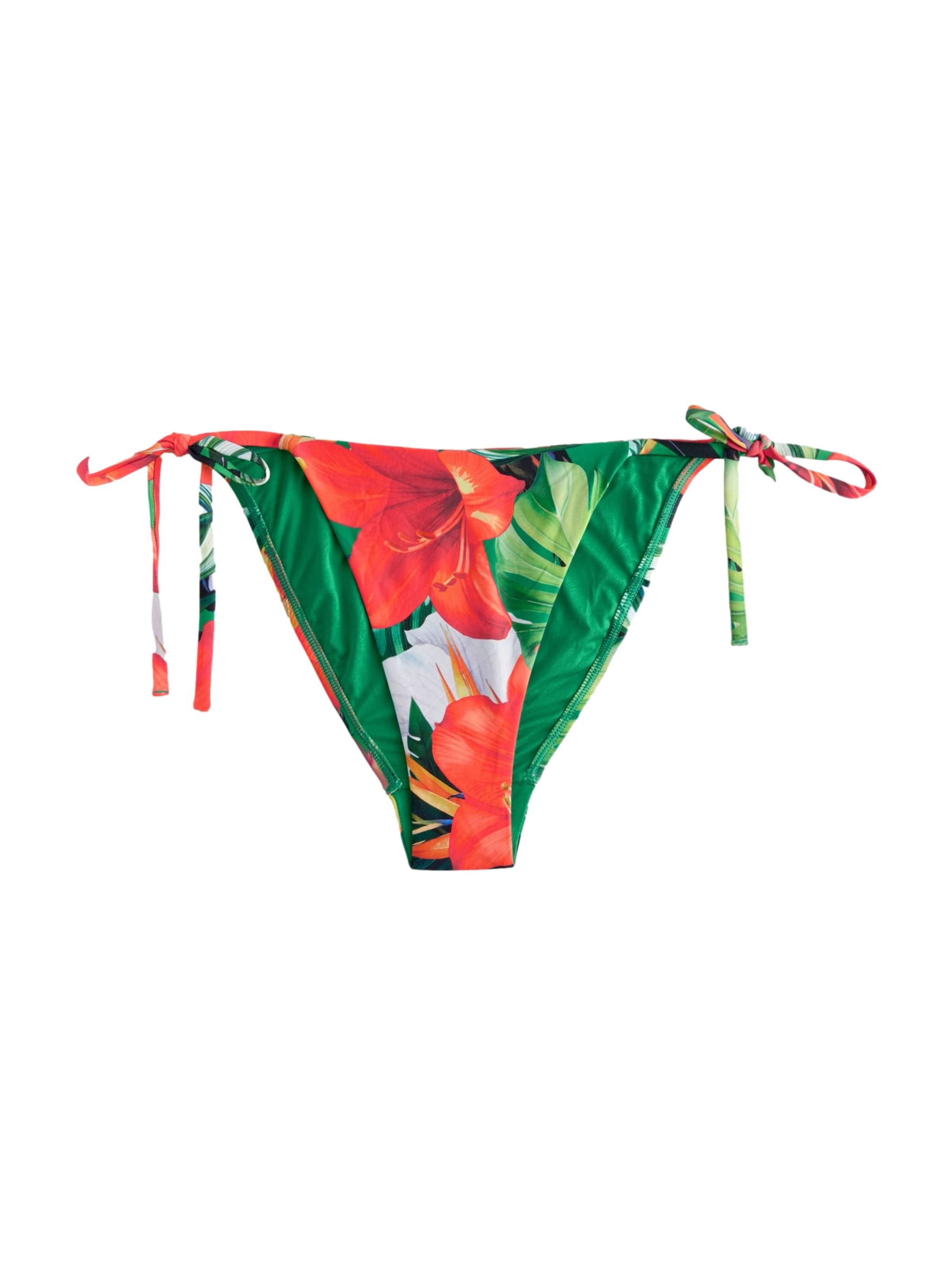 Slip bikini di Next in verde: frontale