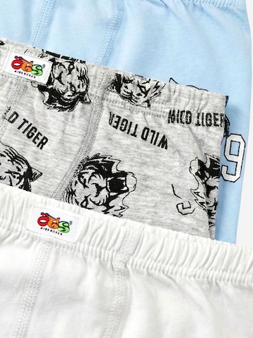 ÖTS Unterhose 'ÖTS Herren Boxerbriefs'‌‌ in Mischfarben