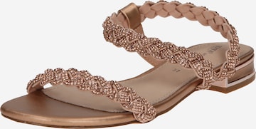 TATA Italia Strap Sandals in Gold: front