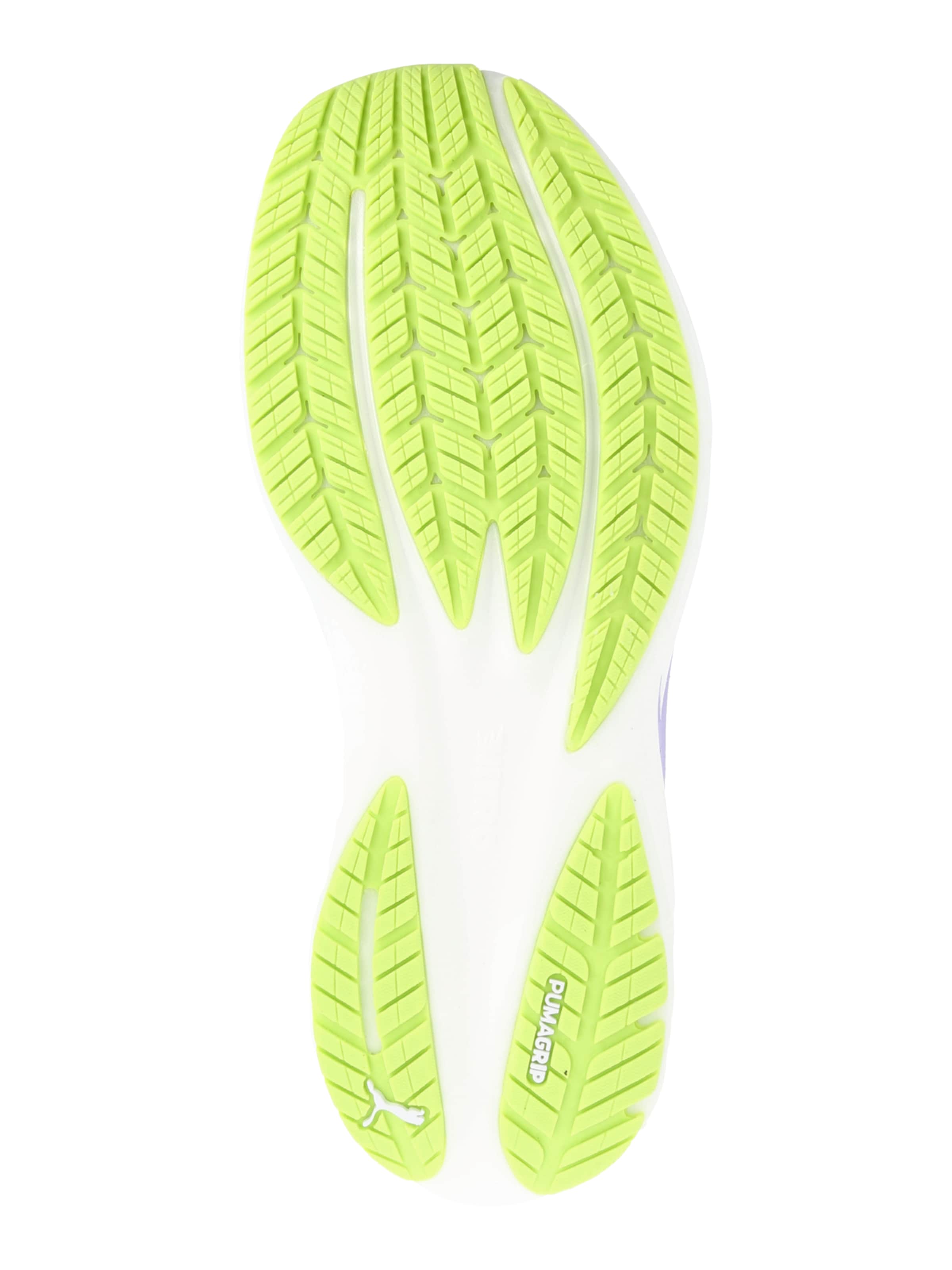 Chaussure de course 'Puma x Hyrox Velocity Nitro 5' PUMA en vert