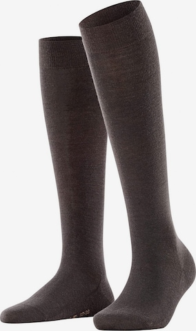FALKE Knee High Socks in Brown: front