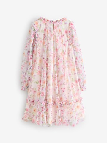 Next Dress in Pink