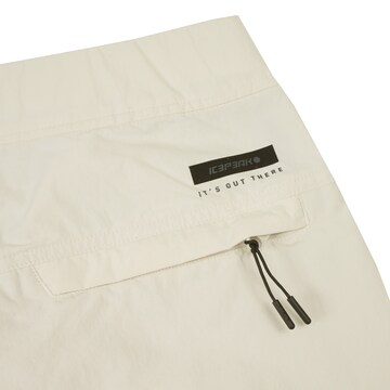 ICEPEAK Regular Outdoor Pants in Pink