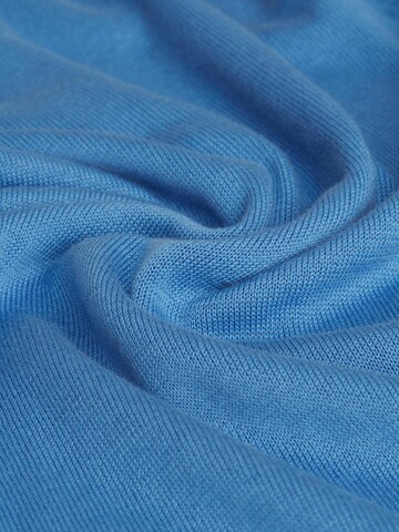 Goldner Pullover in Blau