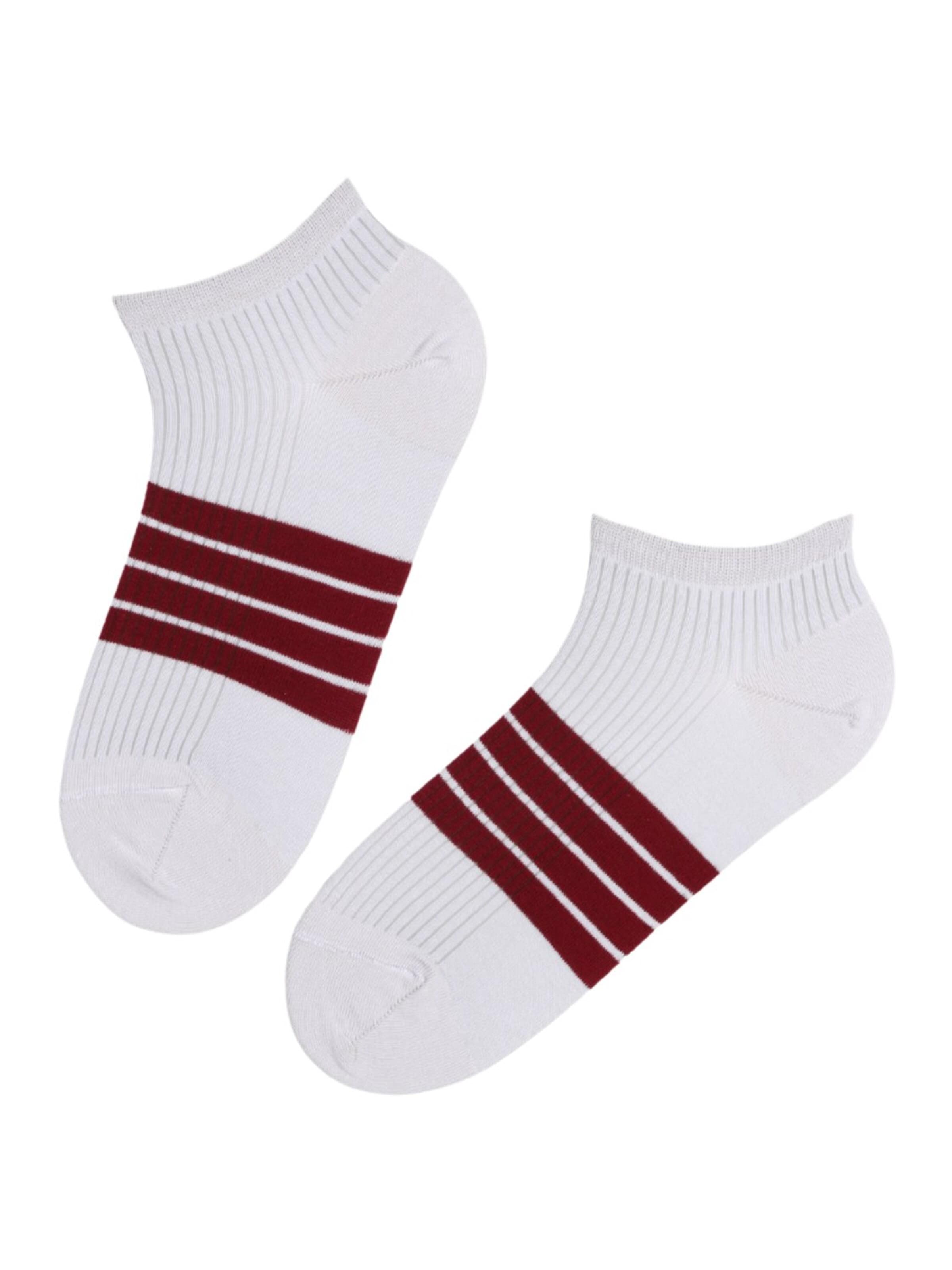 Sokisahtel Socks 'RICCO low-cut cotton socks' in Grey: front