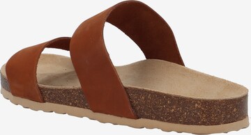 Bianco Mules 'Betricia' in Brown