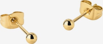 Luamaya Ohrringe 'Delicate Bead Studs' in Gold: Vorderseite