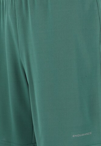 ENDURANCE Regular Workout Pants 'Sesto' in Green