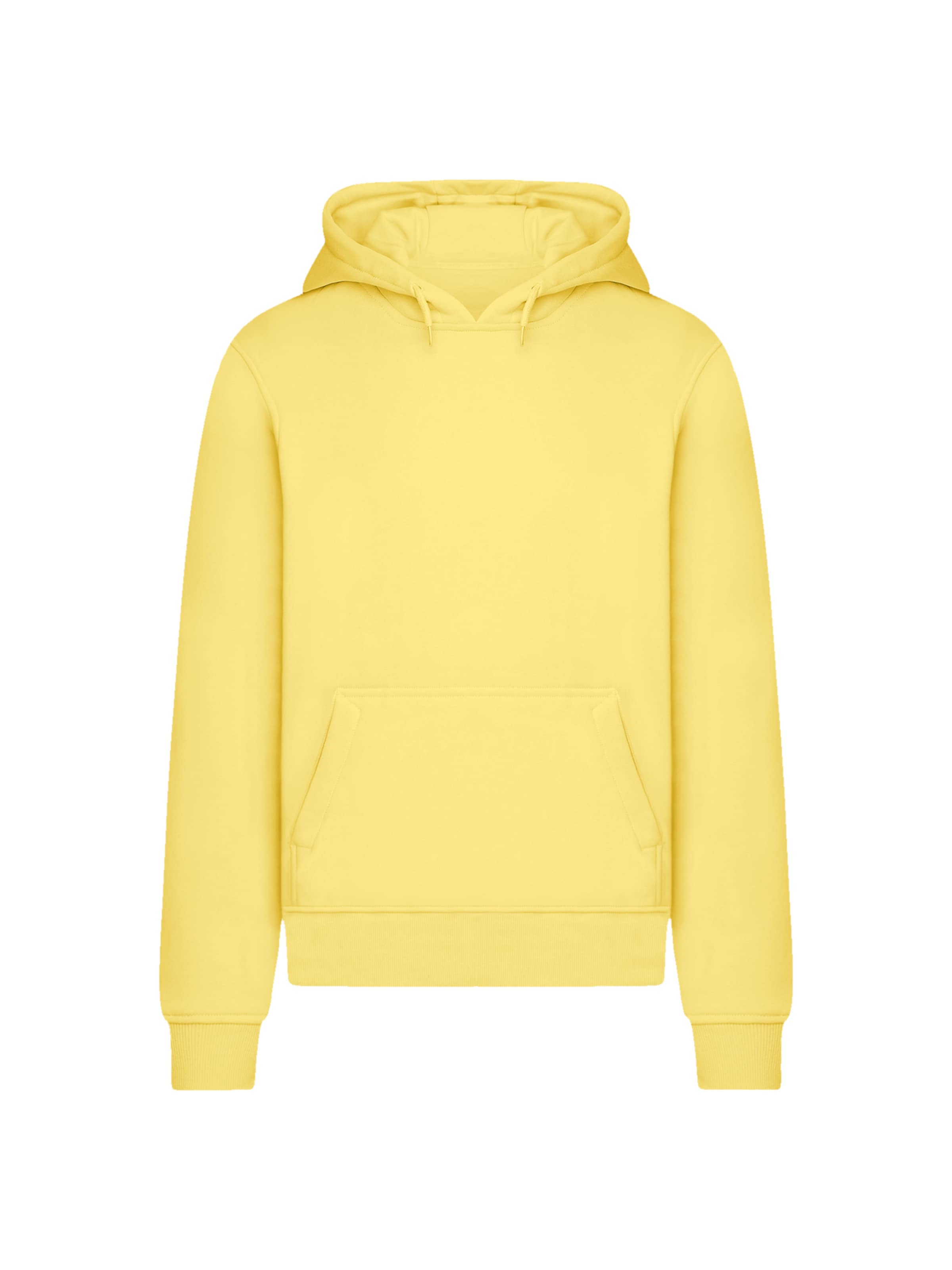 F4NT4STIC Sweater 'Escape Discover the World Tree Birds' in Yellow: front