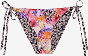 CALZEDONIA Bikini Bottoms 'WILD FOLIAGE' in Mixed colors: front