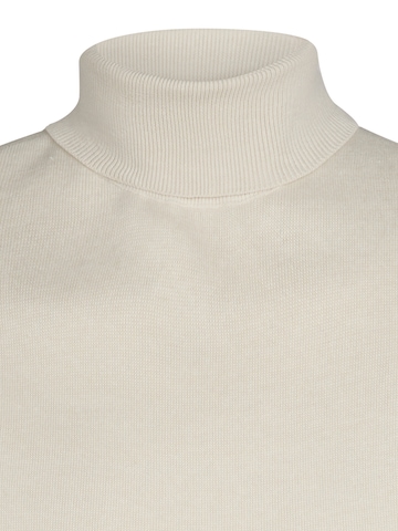 Pullover di Petrol Industries in beige