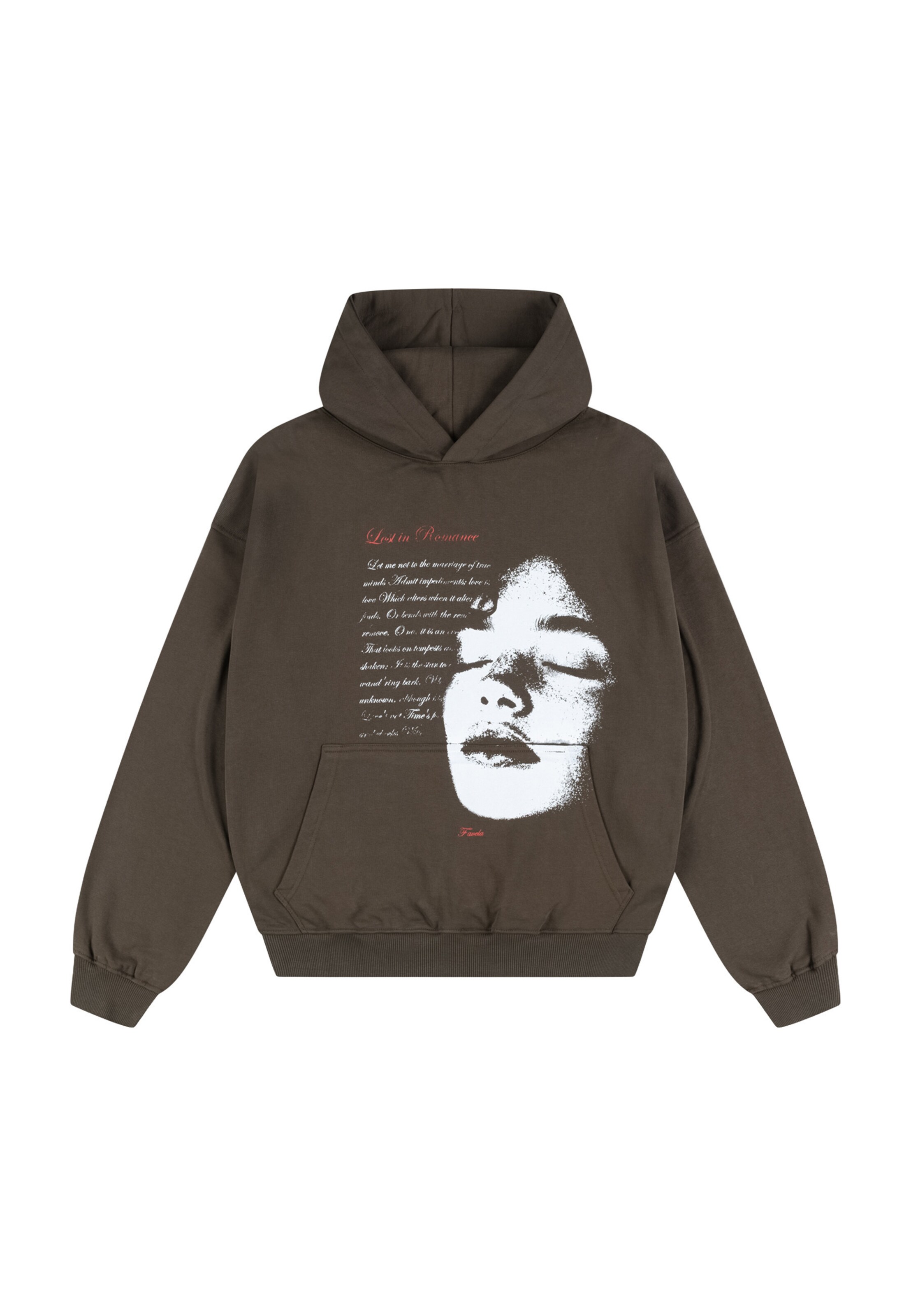 FAVELA Sweatshirt 'Romance Wren' in Braun: Vorderseite