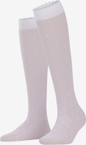 FALKE Over the Knee Socks 'Dot' in White: front