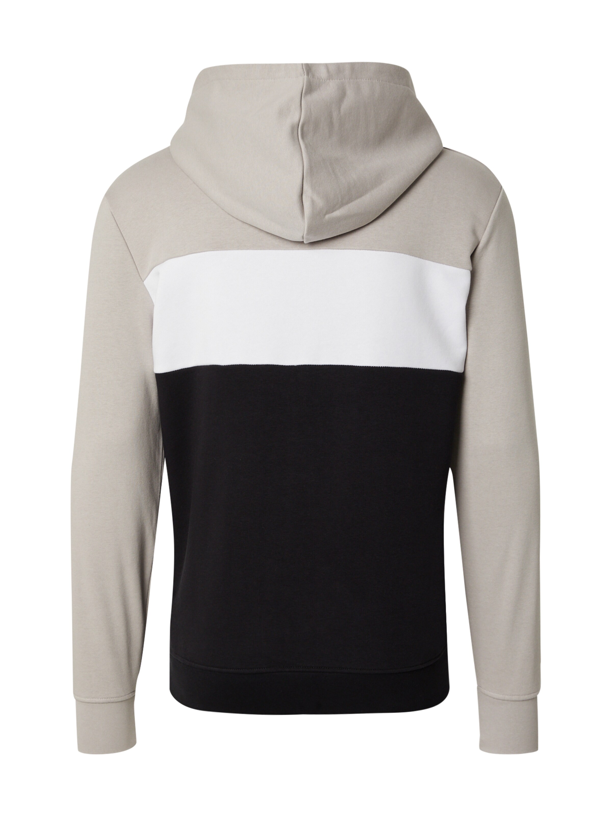 pelēks 4F Sportiska tipa džemperis: no aizmugures