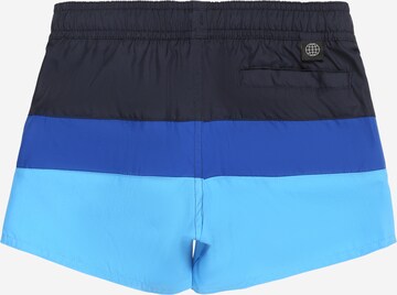 ADIDAS PERFORMANCE Regular Badeshorts 'Colorblock ' in Blau