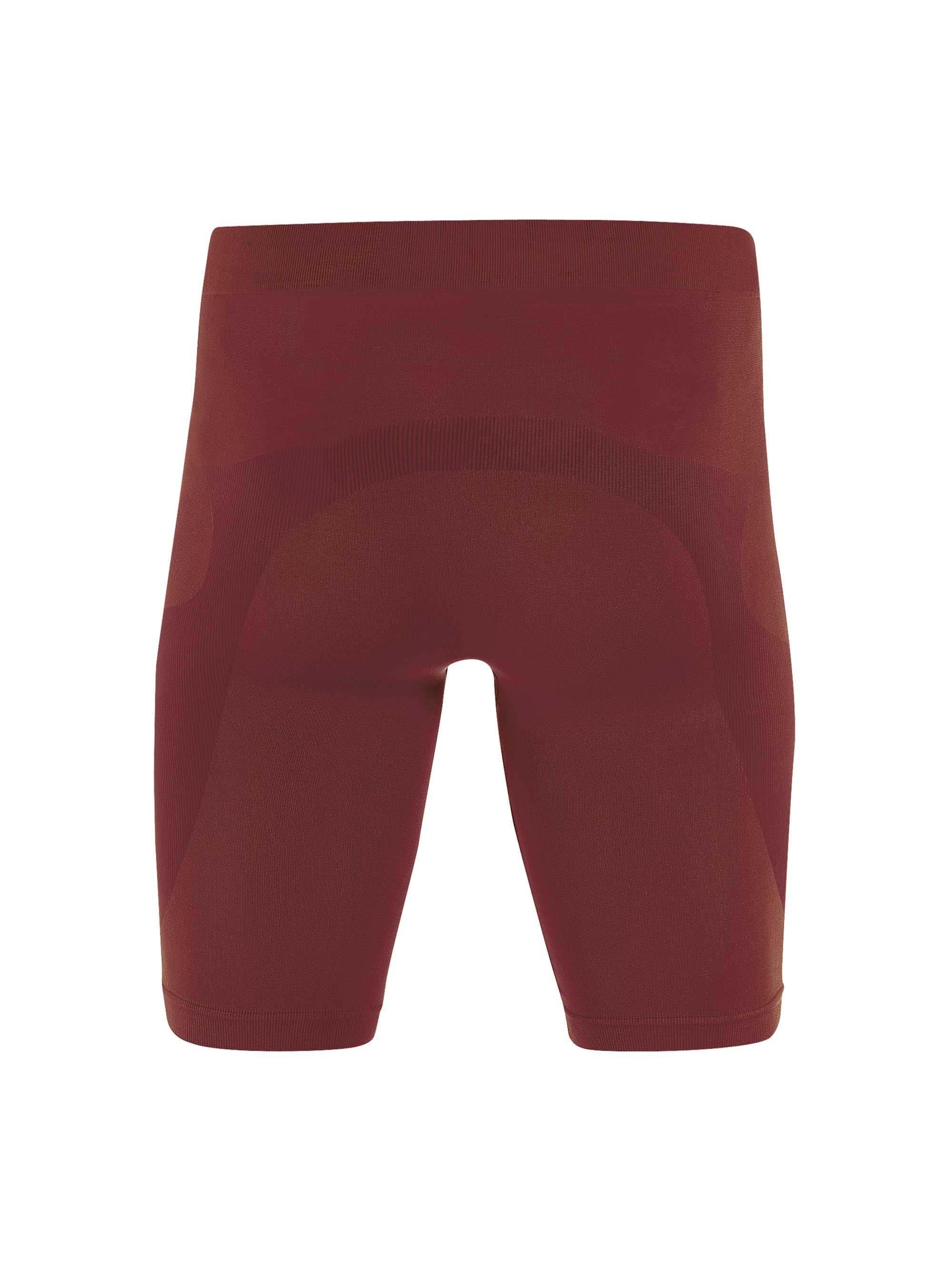 Errea Skinny Workout Pants 'DENIS ' in Brown