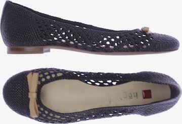 Högl Ballerina 41 in Schwarz: Vorderseite