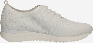 CAPRICE Sneakers in White