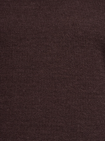 ruda Ombre Megztinis