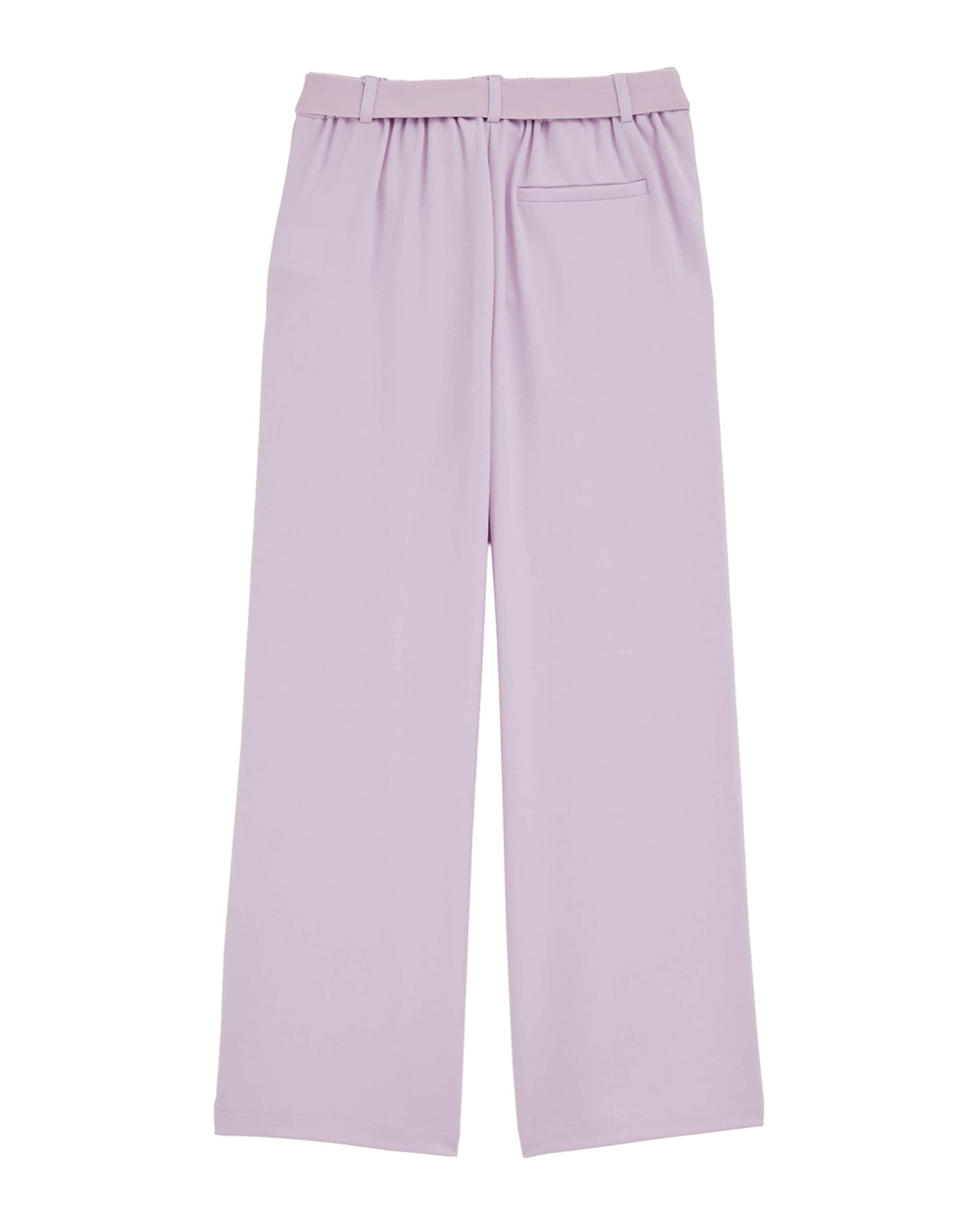 Regular Pantalon WE Fashion en violet