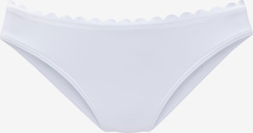 LASCANA Bikini bottom in White: front