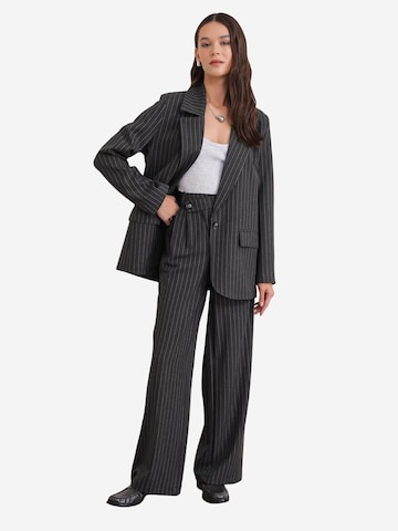 regular Pantaloni con pieghe di MixRay in grigio