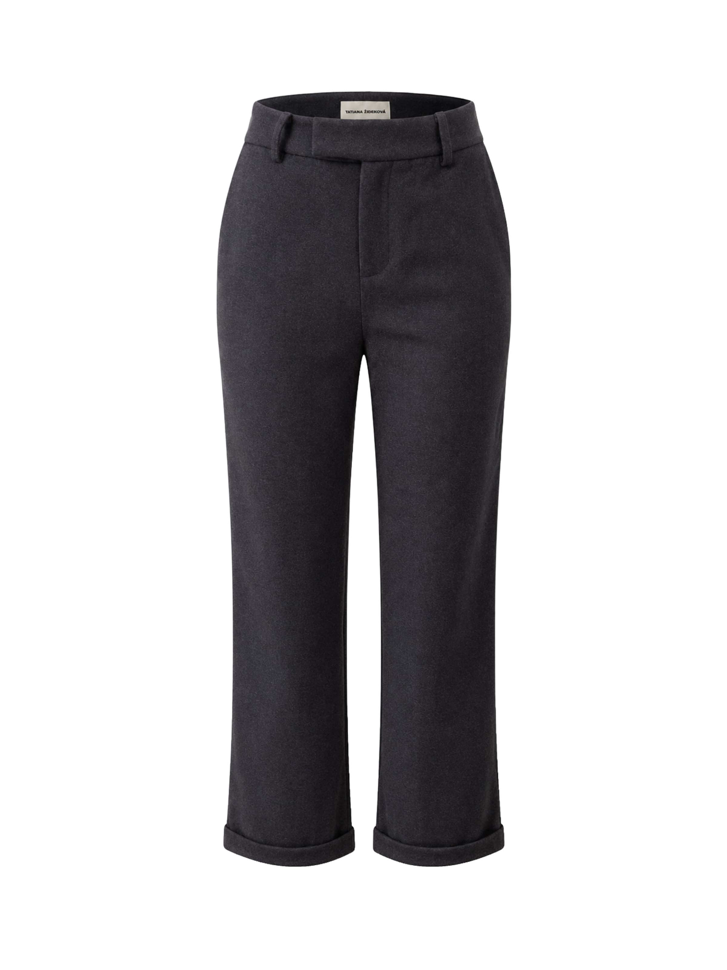 Tatiana Zidekova Regular Pants in Grey: front