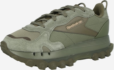 Reebok Classics Sneaker 'CL CARDI' in grün, Produktansicht