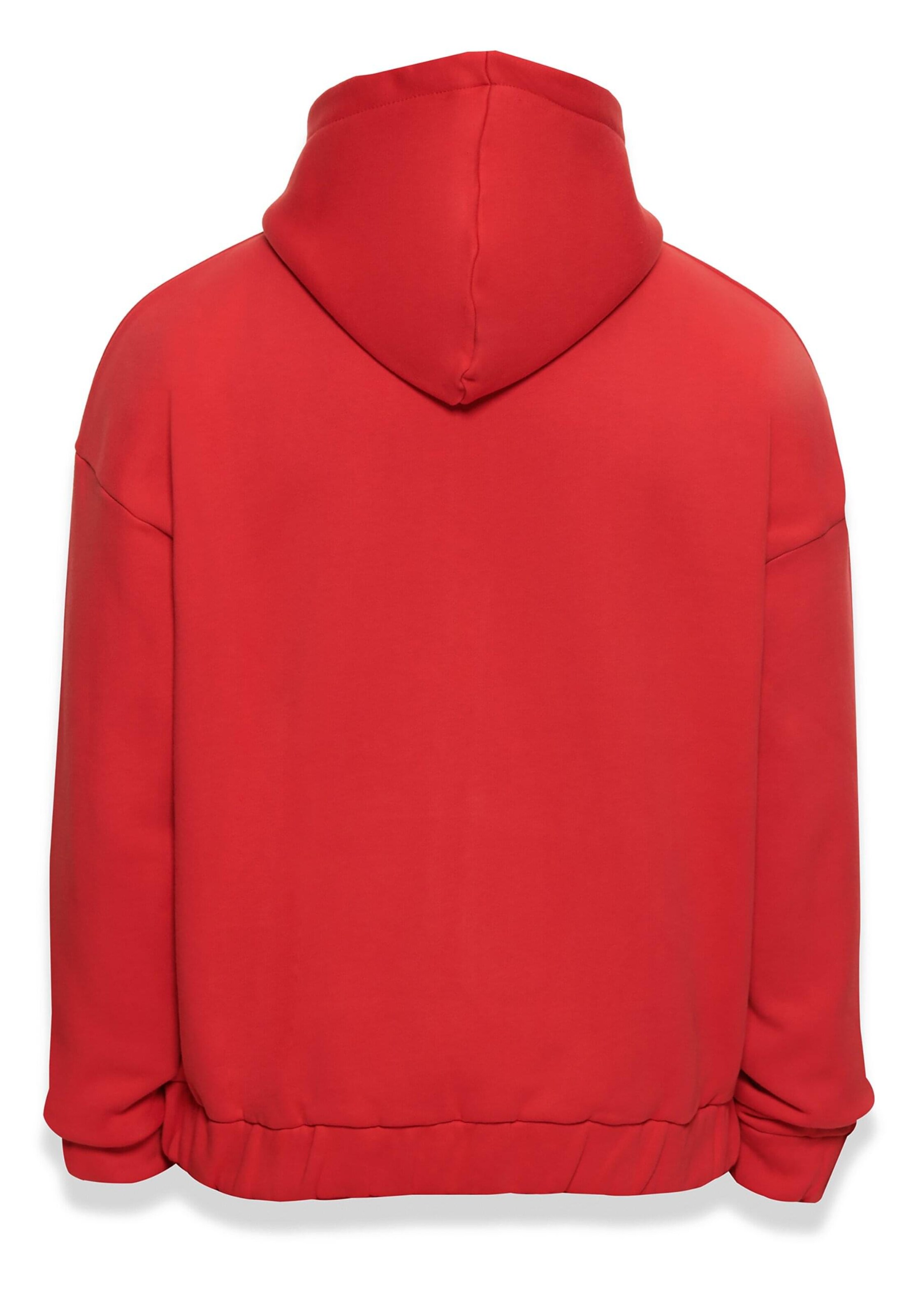 Dropsize Sweat jacket 'Bazix Republiq' in Red