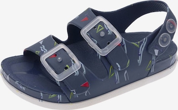 Chicco Avonaiset kengät 'Maison' värissä sininen: etupuoli