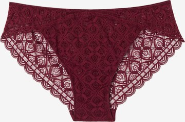 INTIMISSIMI Panty in Red: front