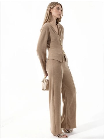 Busem Strickjacke 'Strickjacken'‌‌‌‌‌‌‌ in Braun