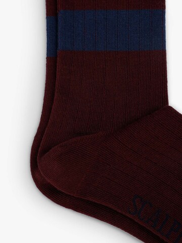 Scalpers Socks in Red