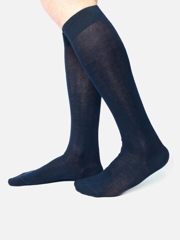 Ciocca Knee High Socks in Blue