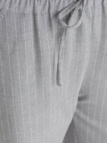 Dilvin Wide leg Broek in Grijs