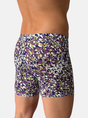 Boxers 'RED2610' Olaf Benz en violet