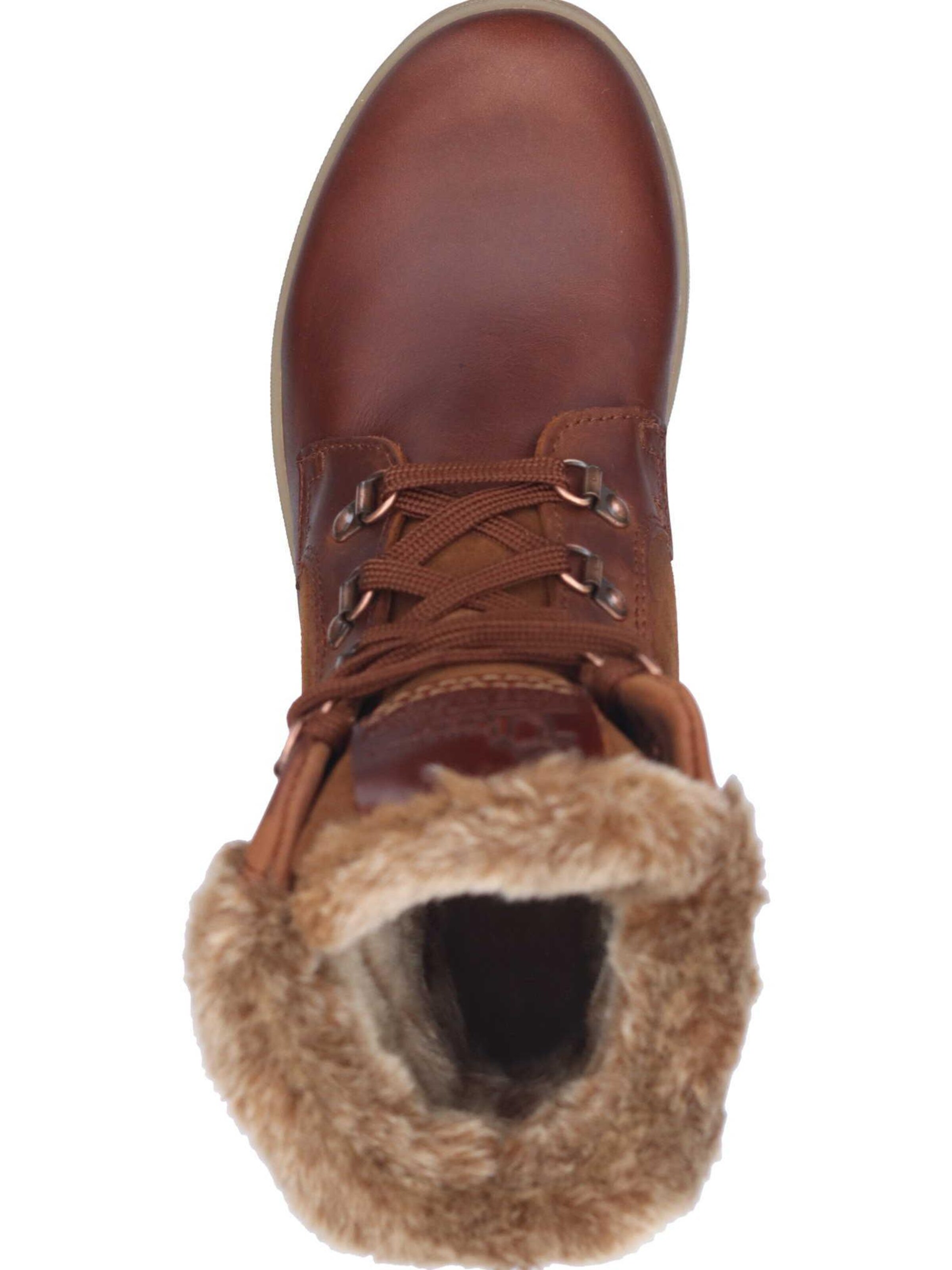 PANAMA JACK Ankle Boots in Brown