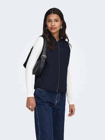 JDY Vest 'JDYRAYA' in Blue: front